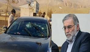 وزير الخارجية يدين اغتيال العالم الإيراني زاده