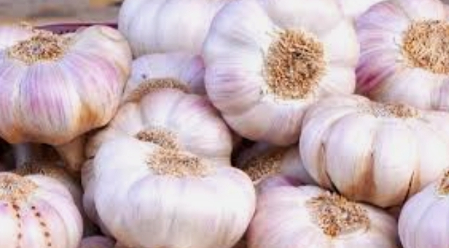 حملة لمنع استيراد وتسويق الثوم الخارجي بصنعاء