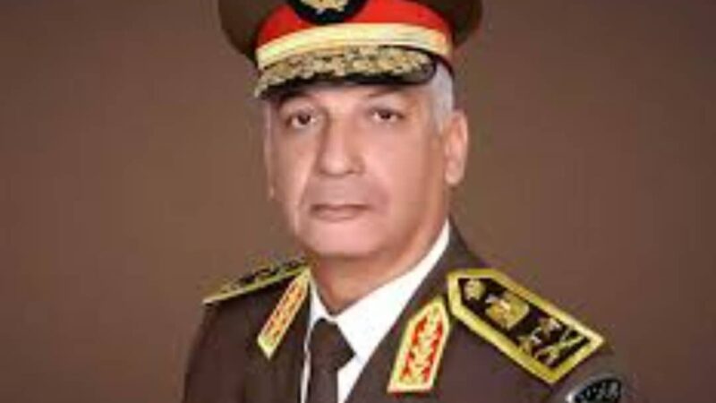 وزير الدفاع المصري : القضية الفلسطينية تمر بمنعطف شديد الخطورة والحساسية
