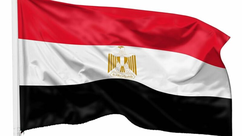 مصر : نأمل أن تُسهم جولة ترامب الخليجية في دعم جهود وقف إطلاق النار في غزة