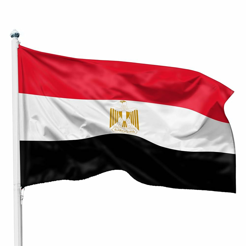 مصر : نأمل أن تُسهم جولة ترامب الخليجية في دعم جهود وقف إطلاق النار في غزة