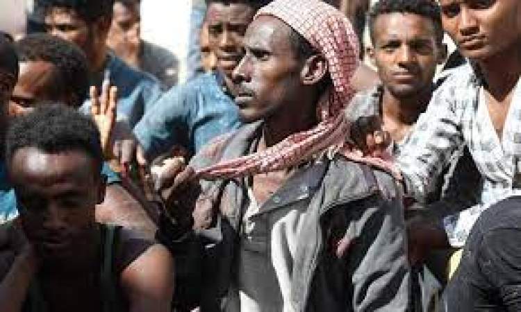 عمران .. ضبط أكثر من خمسة آلاف مهاجر غير شرعي خلال عام