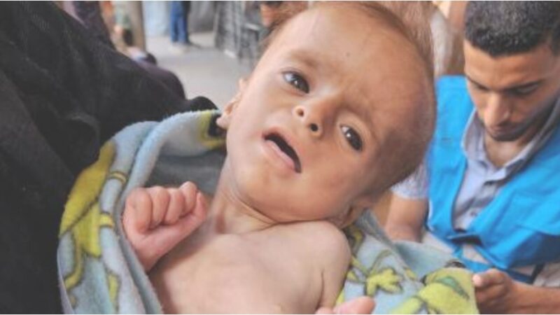 الأونروا : 6 آلاف شاحنة محملة بالغذاء والأدوية والمساعدات الإنسانية تنتظر إدخالها إلى غزة وسط مستويات مجاعة “صادمة”