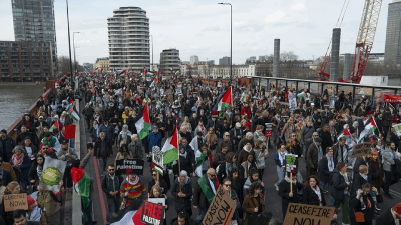 مظاهرات حاشدة بعواصم ومدن عالمية تنديدًا بحرب الإبادة الصهيونية على غزة