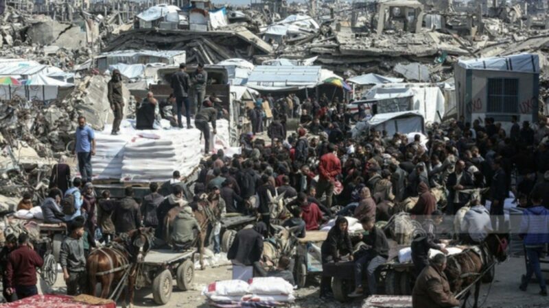 الإعلامي الحكومي” بغزة : 124 شاحنة مساعدات دخلت القطاع تعرض معظمها للنهب