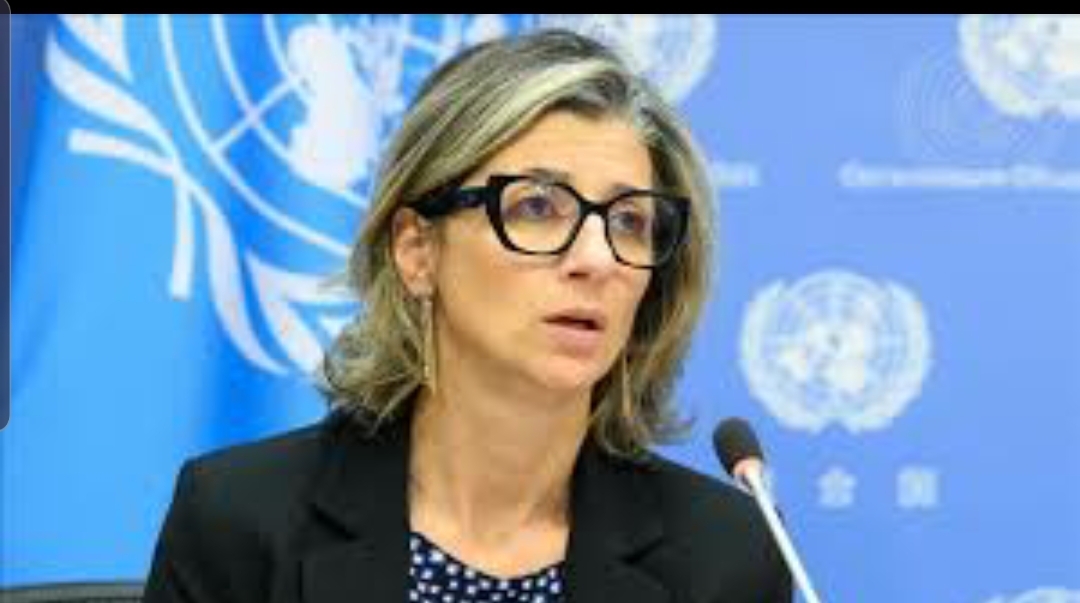 المقررة الأممية لفلسطين : “أشعر بالعار والخجل مما يحدث في غزة”.. وتطالب بوقف السلاح لإسرائيل وإرسال قوات دولية