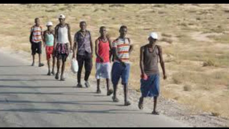 7 آلاف مهاجر أفريقي وصلوا اليمن في أغسطس