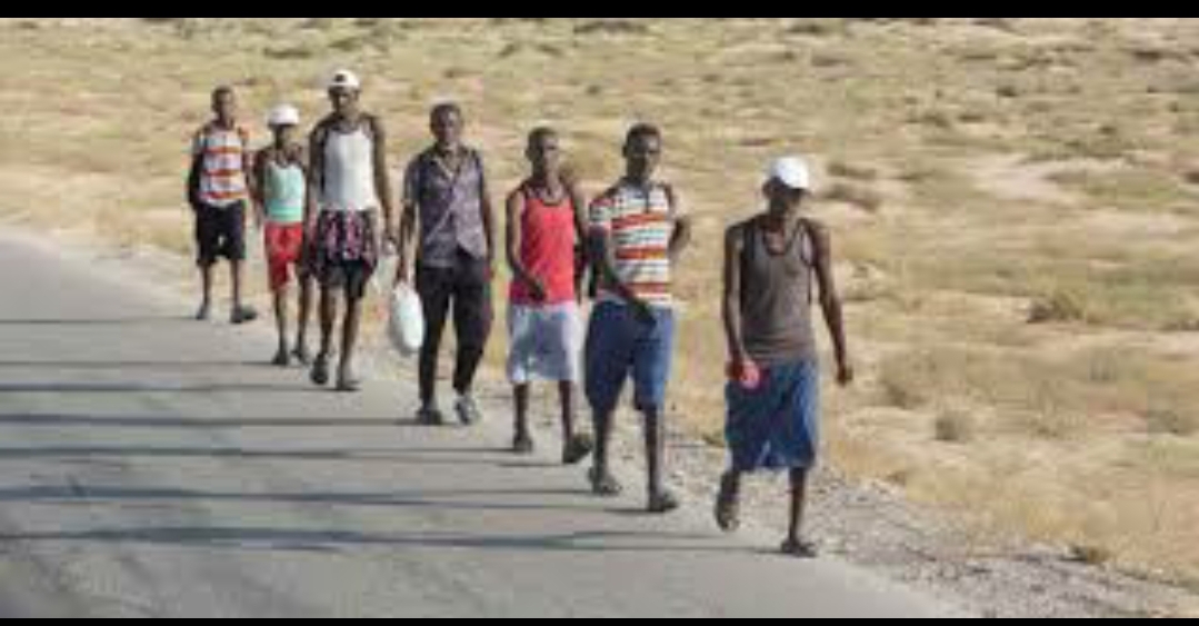 7 آلاف مهاجر أفريقي وصلوا اليمن في أغسطس